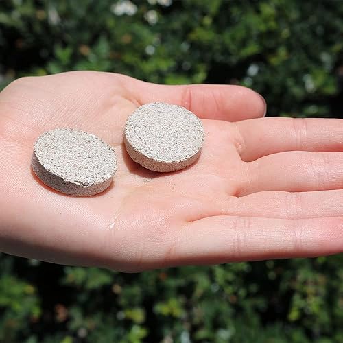 Miniatura 3 de AMERICAN PLANT EXCHANGE Alimento para plantas de interior (TABS), fertilizante orgánico para plantas de interior para follaje y comestibles, 2