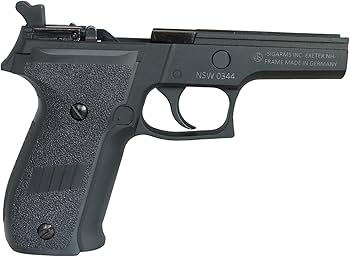 Amazon.co.jp: 【WE-TECH製】SIG P226 Mk24 レーザー刻印メタル
