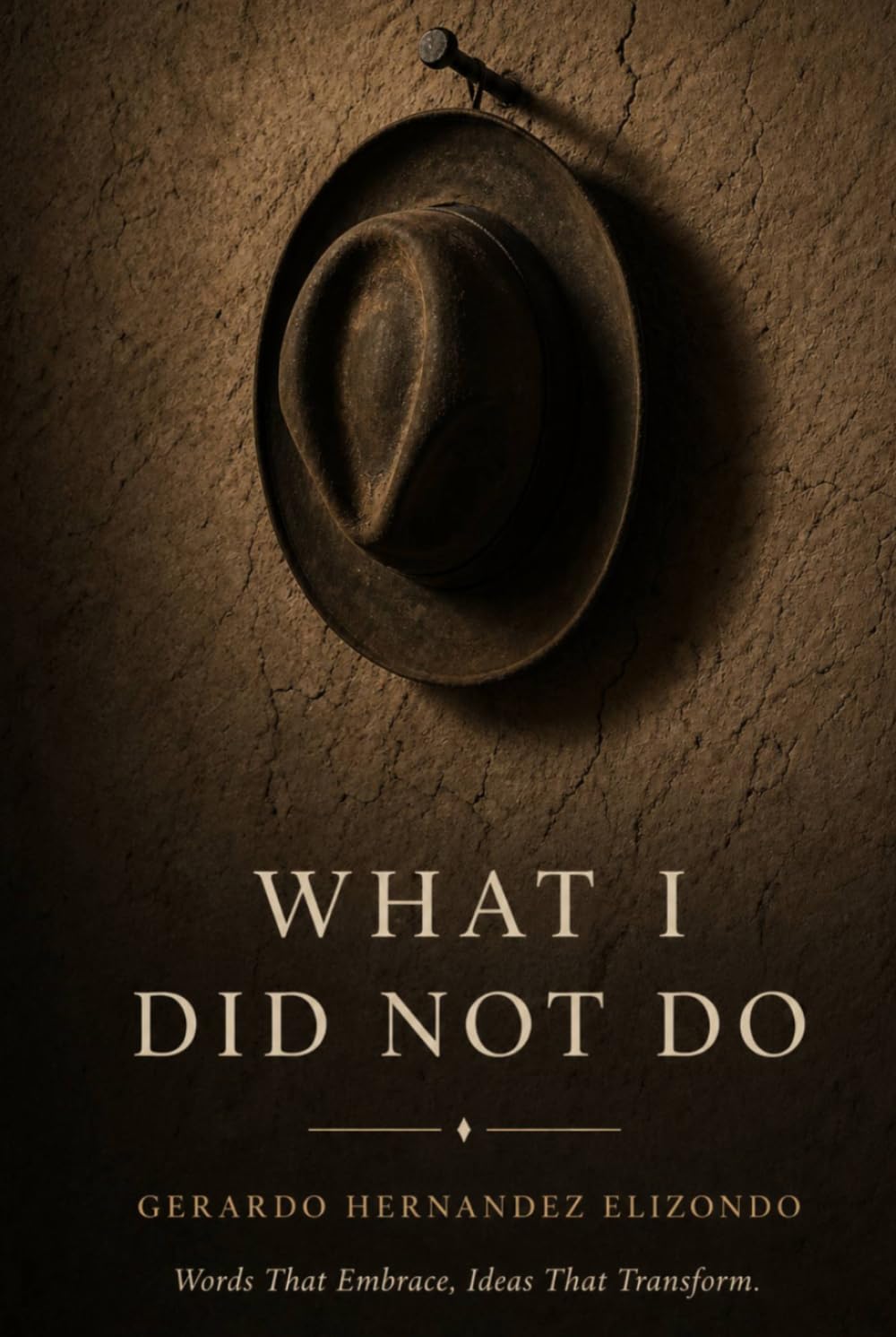 WHAT I DID NOT DO