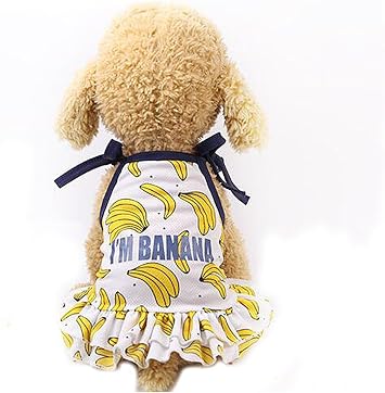 Pet Clothes,Lovely Summer Fruit Dog T-Shirt Puppy Clothes Dog Skirt Dress Cats Clothes for Small Dogs Cats Puppy M-Back Length 30cm, Banana Skirt