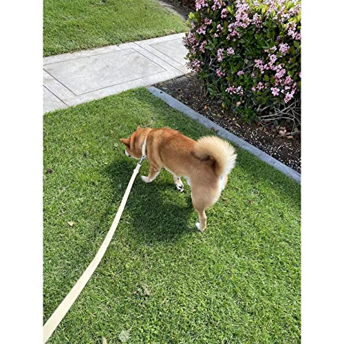 ZALER Dog Collar and Leash Set, Waterproof Adjustable Odor Proof Pet Collars Leashes Easy to Clean, 6FT Dog Leash with 2 Hooks for Large, Medium Small Dogs (L, Red) by ZALER - Used condition - Image 7