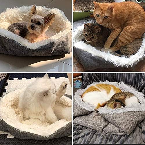 TUAKIMCE Cat Dog Beds, 2 in 1 Plush Soft Pet Cushion and Kittens Blanket for Indoor Cats Warm Fluffy Pet Mat Puppy Bed Kitten Bed Washable (White)