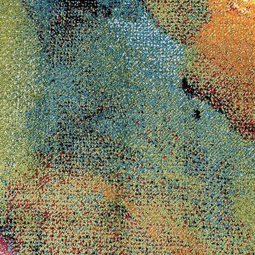 Alise Rugs Avdel Mid-Century Modern Area Rug for Indoor Living Room, Bedroom, Dining Room