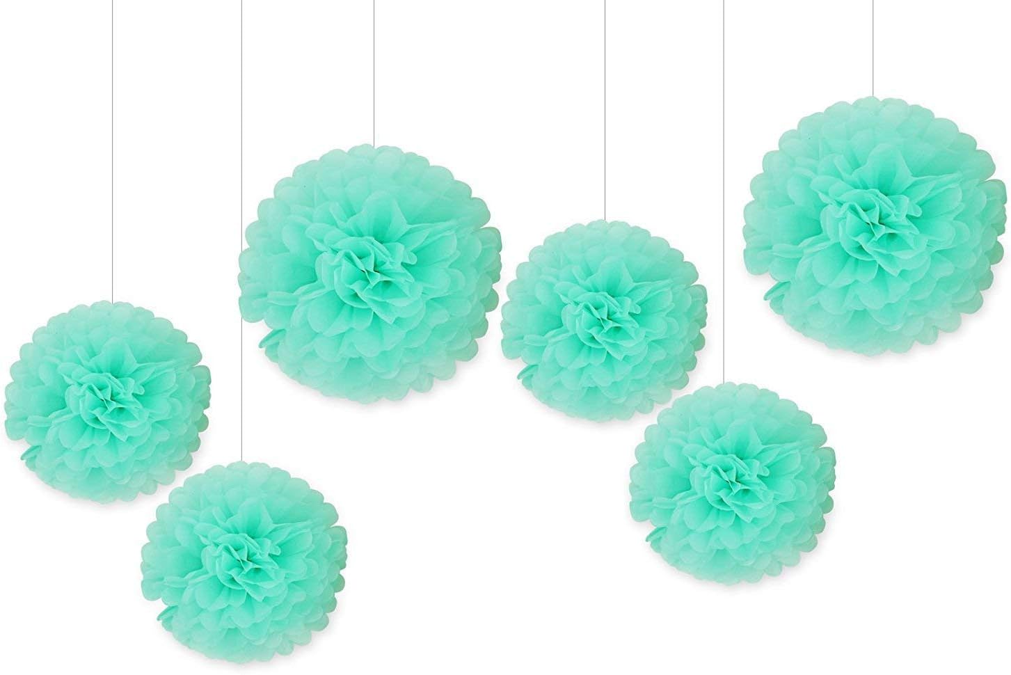 Hanzen 5 Pcs Mixed 10" 14" Mint Tissue Paper Pom Poms Flower Balls for Birthday Wedding Party Baby Shower Outdoor Decorations (Mint)