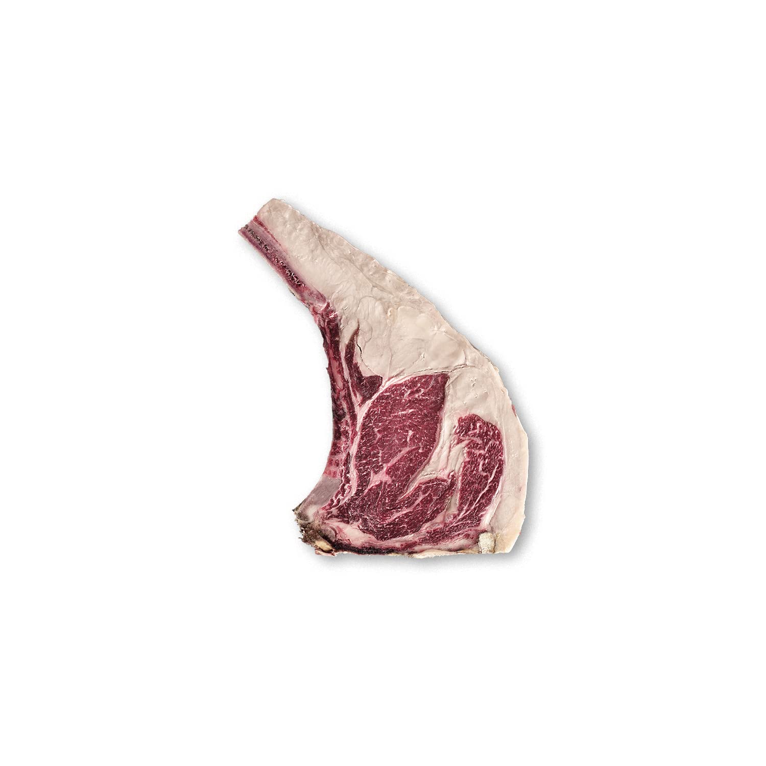 Carnicería Premium Cosecha Privada - Envío 24 h - Chuletón, Lomo, Solomillo, Entrecot, Buey, Lechazo, Cochinillo, Hamburguesas - Carne Fresco (Chuletón de Buey El Capricho, 1,5 kg)