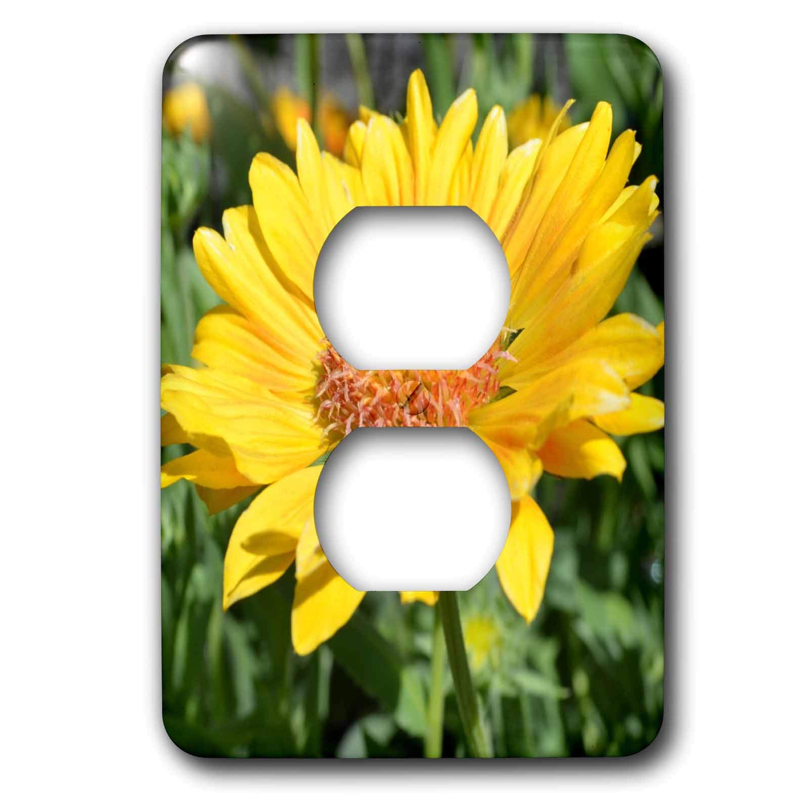 Cache de prise 2 fleurs jaunes 3dRose lsp_22709_6 pour décoration murale