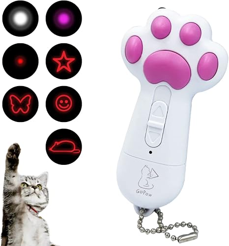 Le meilleur jouet laser pour chats