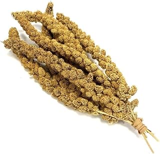 Millet Sprays x 500g Premium Cage Bird Food Seed SMD