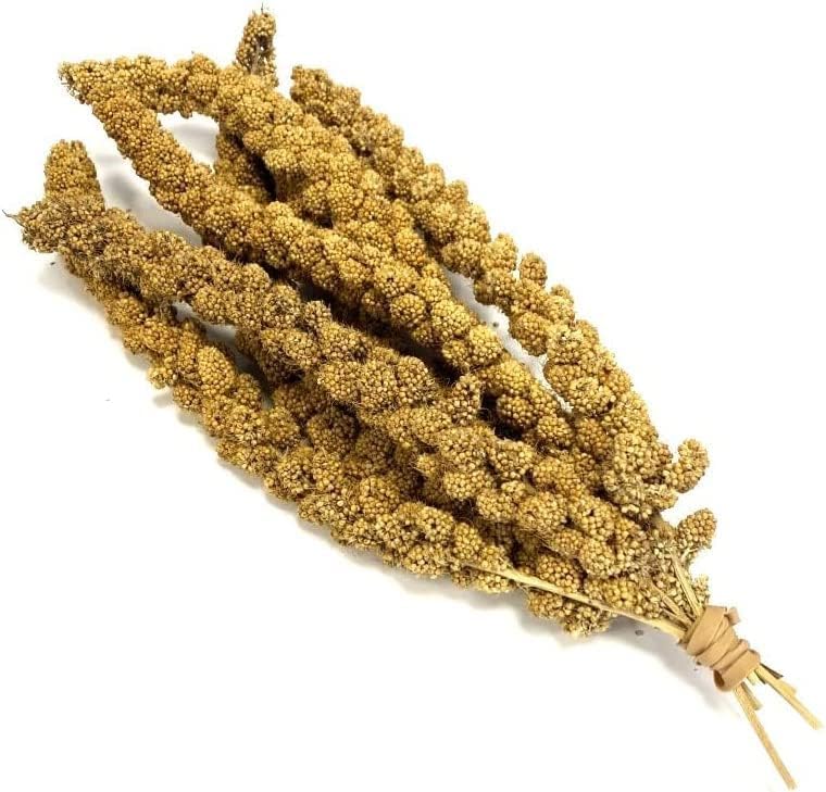 Millet Sprays x 6 Premium Cage Bird Food Seed