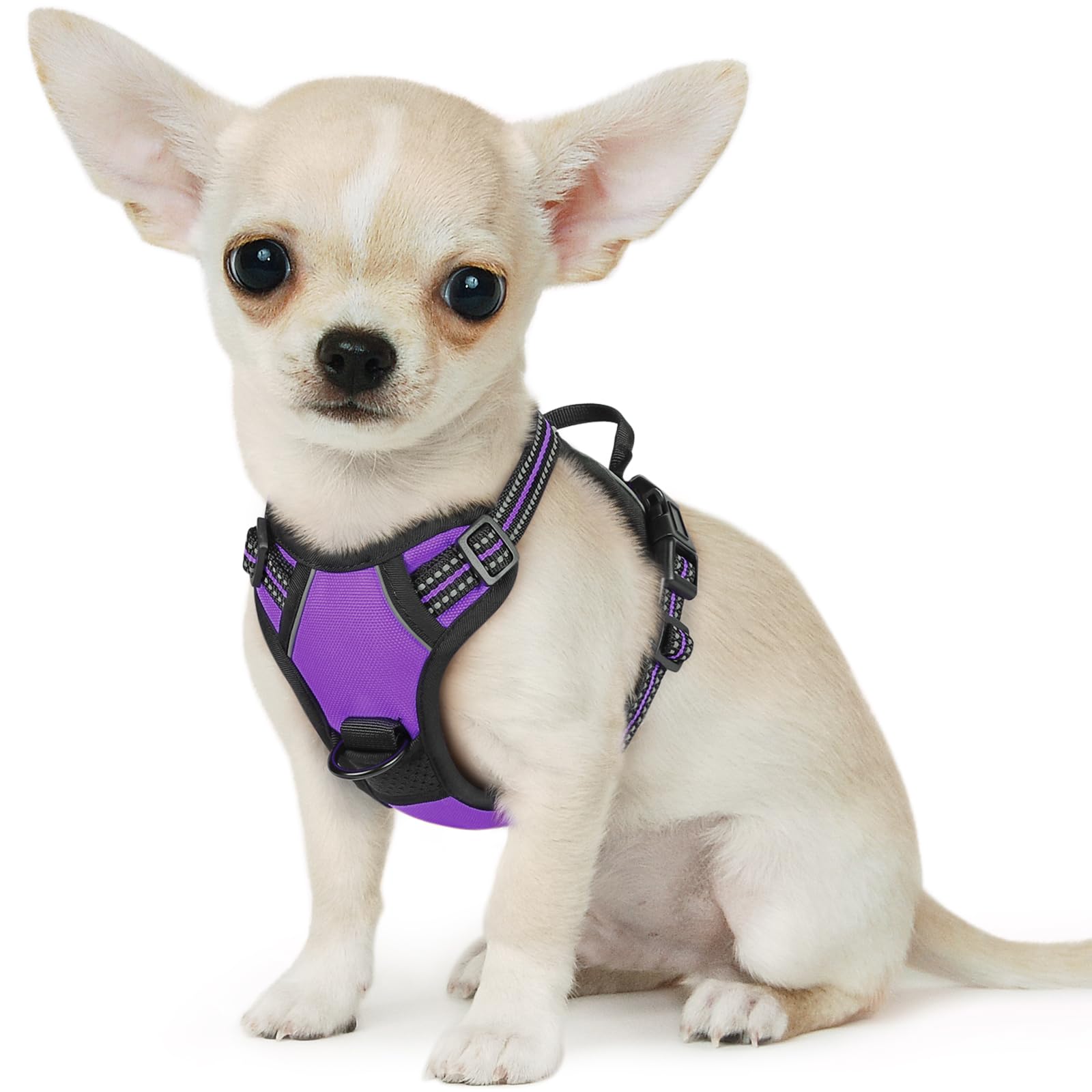 Eagloo Pettorina Cane Taglia Piccola, Pettorina ad h, Pettorina Antifuga Cane, Pettorina Anti Tiro per Cani con Doppio Gancio, Robusto e Regolabile per Addestramento, Pettorina Cucciolo, XS, Viola