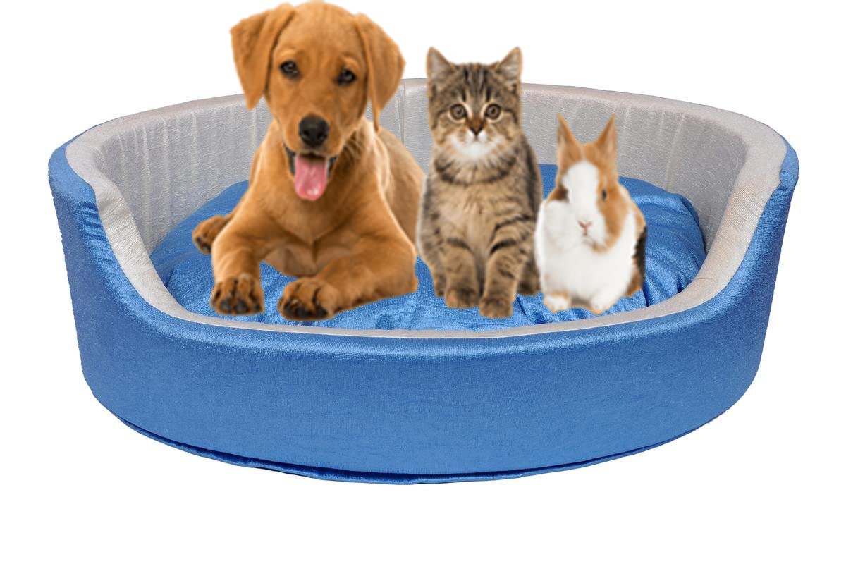 slatters be royal store Reversible Dual Ultra Soft Velvet Sky Blue Cream Color Luxury Sofa Bed PET Bed | Dog Bed | CAT Bed | Puppies Puppy Bed | Rabbit Bed (B0BJB6JR8T) Amazon Price History, Amazon Price Tracker