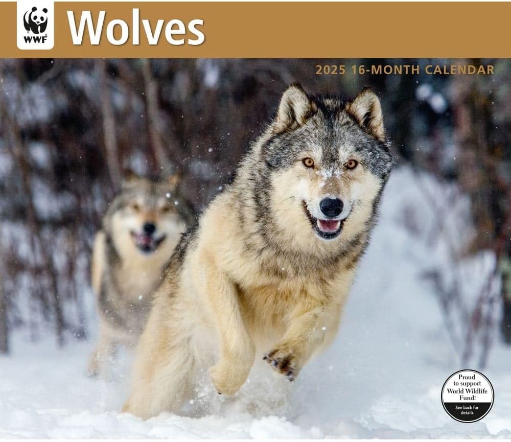Calendar Ink, Wolves WWF 2025 Wall Calendar Office Products