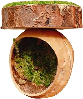 Jumping Spider Box, Magnetic Hiding Cave, Jumping Spider Hiding Place, Versatile Placement, Strong Magnetic Mount, 4x6cm for Tarantula House Cage Small Pets