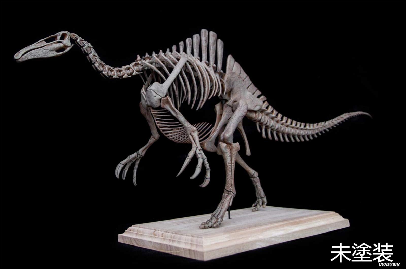 Amazon | 恐竜博物館 1/20 サイズ デイノケイルス Deinocheirus 骨格