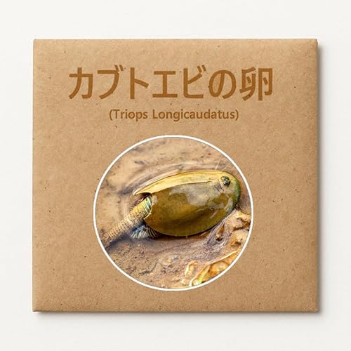 カブトエビの卵 ＜お試し＞のサムネイル