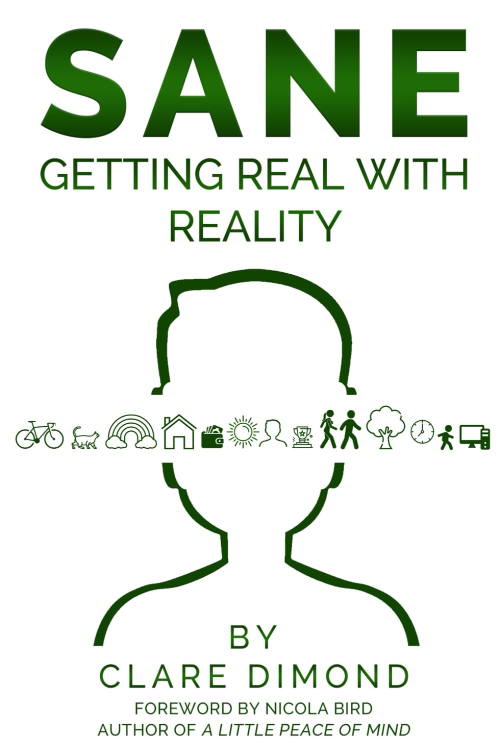 SANE: Getting Real with Reality