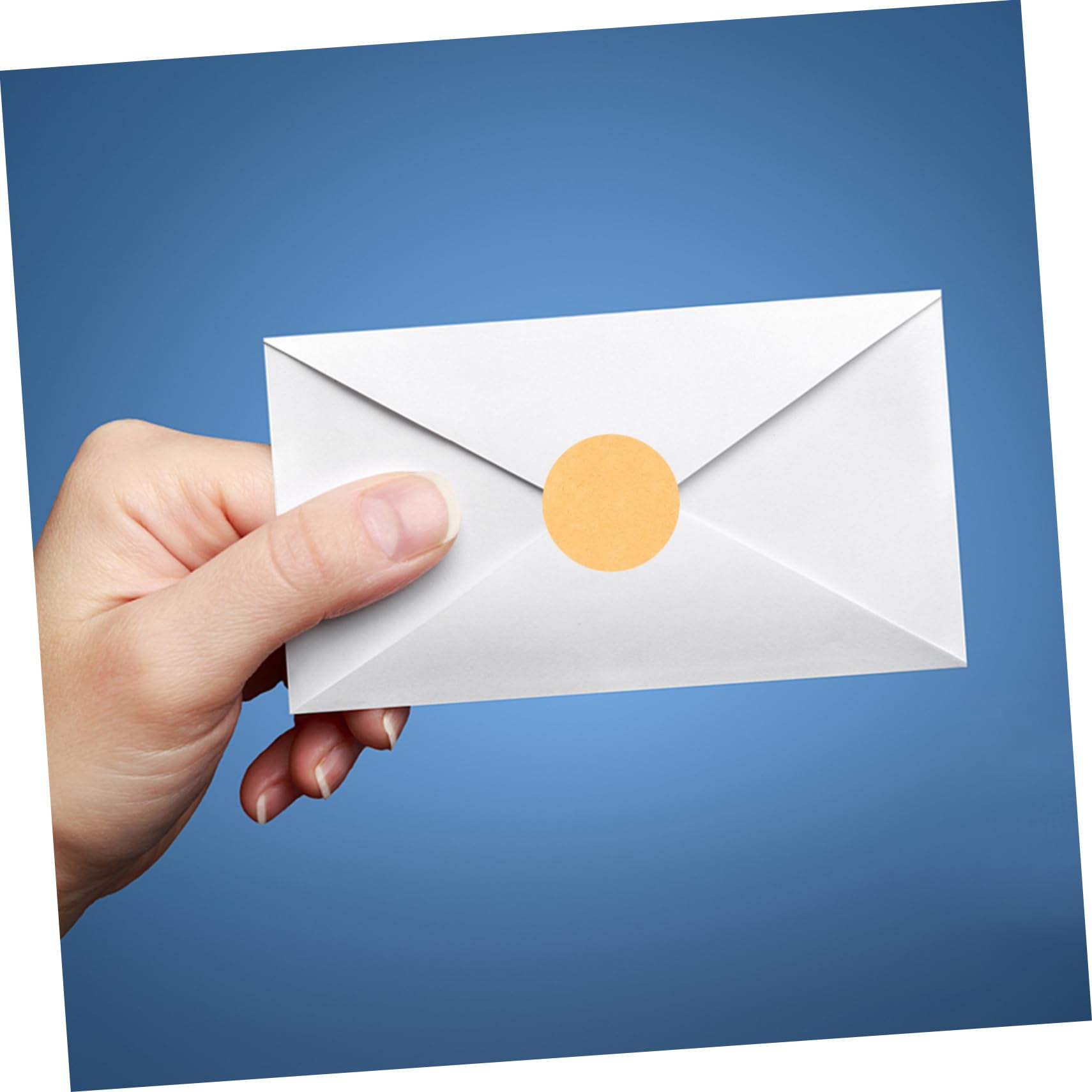 NUOBESTY 6rotoli Etichette Adesive Tonde Carta Kraft Per Etichettatura Regali Barattoli e Decorazioni Per Feste Ufficio e Scuola