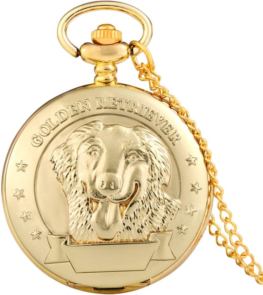 SALOMON SANCHEZ 154 × ROME SDS ARSENAL Salomon Sanchez Snowboard - Snowboard