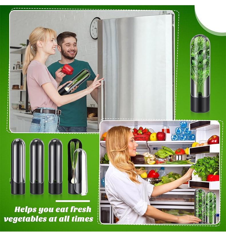 Contenitori per conservare erbe aromatiche, confezione da 6 pezzi, per frigorifero, verdure fresche, per asparagi, coriandolo, menta, coriandolo, mantiene le erbe fresche più a lungo