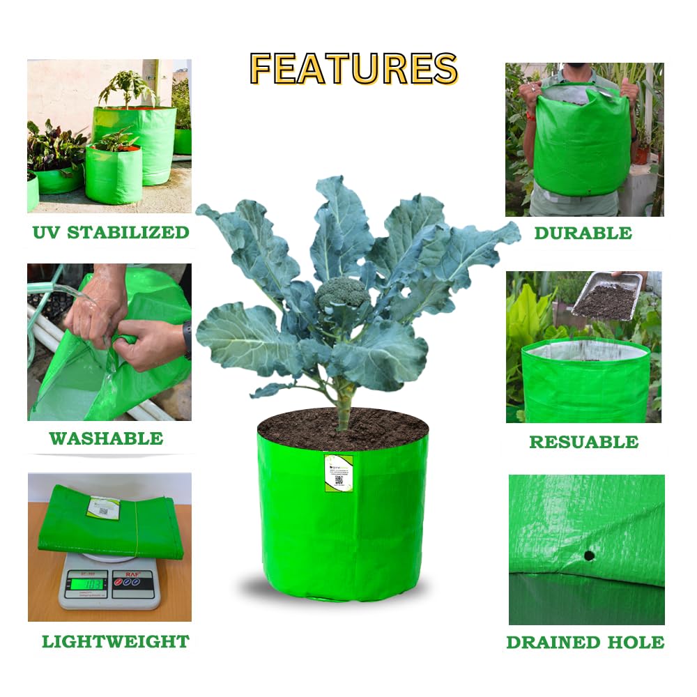 ORGANIC BAZAR 15x15 Grow Bag for Terrace Garden, Premium HDPE 260 GSM Green Plant Bags (Pack of 5) 1