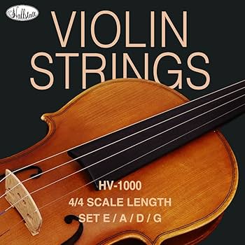 弦楽器　バイオリン　ハルシュタット　ハードケース付　F　R7934C 弦楽器 バイオリン ハルシュタット ハードケース付 F R7934C