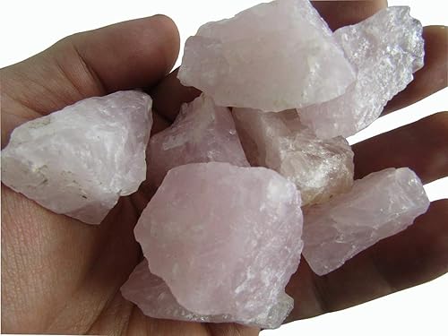 Piedras ásperas de cuarzo rosa natural de 1/2 lb (0.75 a 2 pulgadas), para envoltura de alambre, pulido, volteo, wicca, reiki, curación, metafísico,