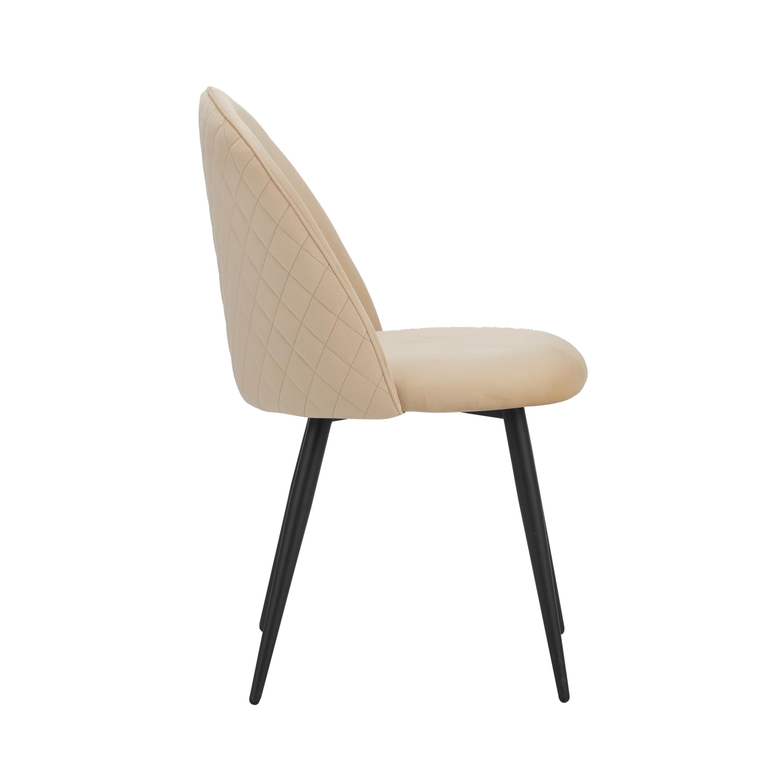 Albatros - Set di 4 sedie da sala da pranzo con rivestimento in velluto, stile vintage, rivestimento in velluto, con imbottitura certificata SGS – moderna sedia da cucina
