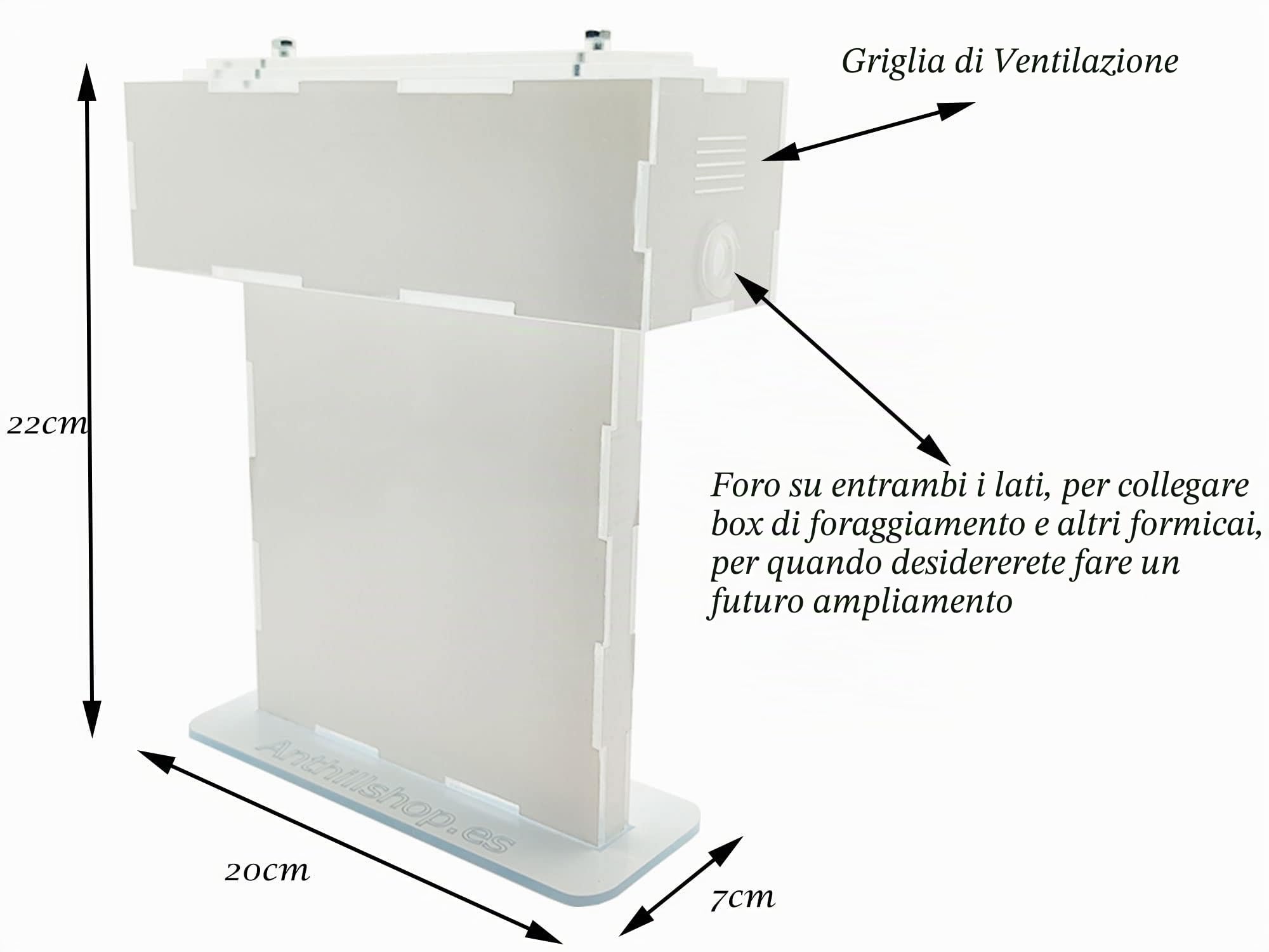 Formicaio T- Piccolo di Sabbia Naturale (acrilico) - con Formiche Incluse 20-30 Formiche.