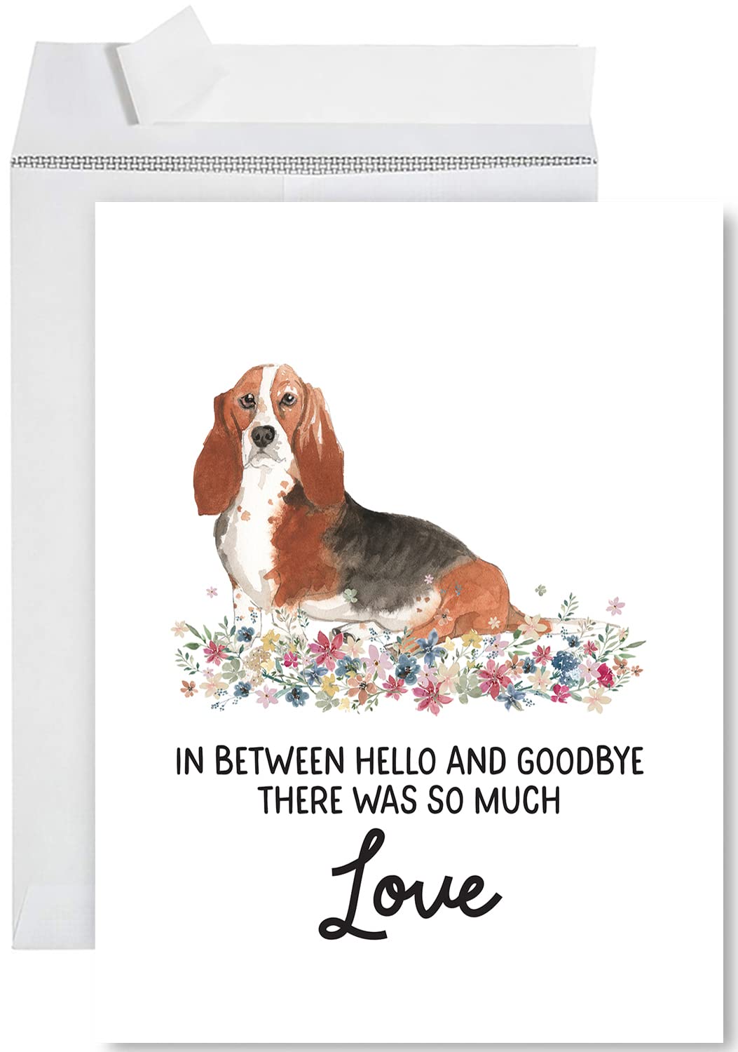 Amazon.com : Andaz Press Jumbo Pet Sympathy Card with Envelope