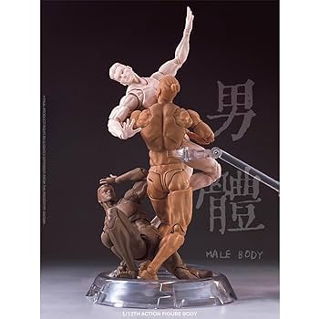 Amazon.co.jp: HiPlay Romankey × Cowl 1/12 超可動 男性 素体 C