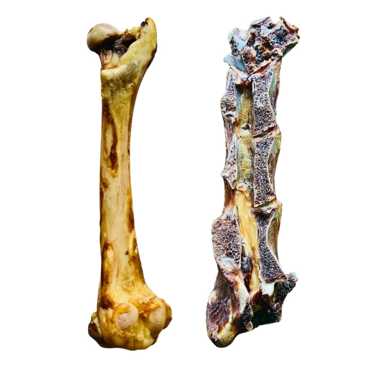 FloofYou Goat Bone Long Chew Dehydrated Natural Healthy Dog Treat with Goat Neck Bone Dehydrated Natural Healthy Dog Treat and Chew Combo (B0D3B4CPGR) Amazon Price History, Amazon Price Tracker