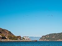 Review Image by Tony Tony