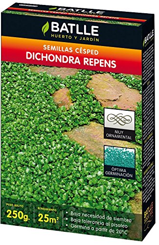 Semillas de Césped - Césped Dichondra Repens 250g - Batlle: Amazon ...