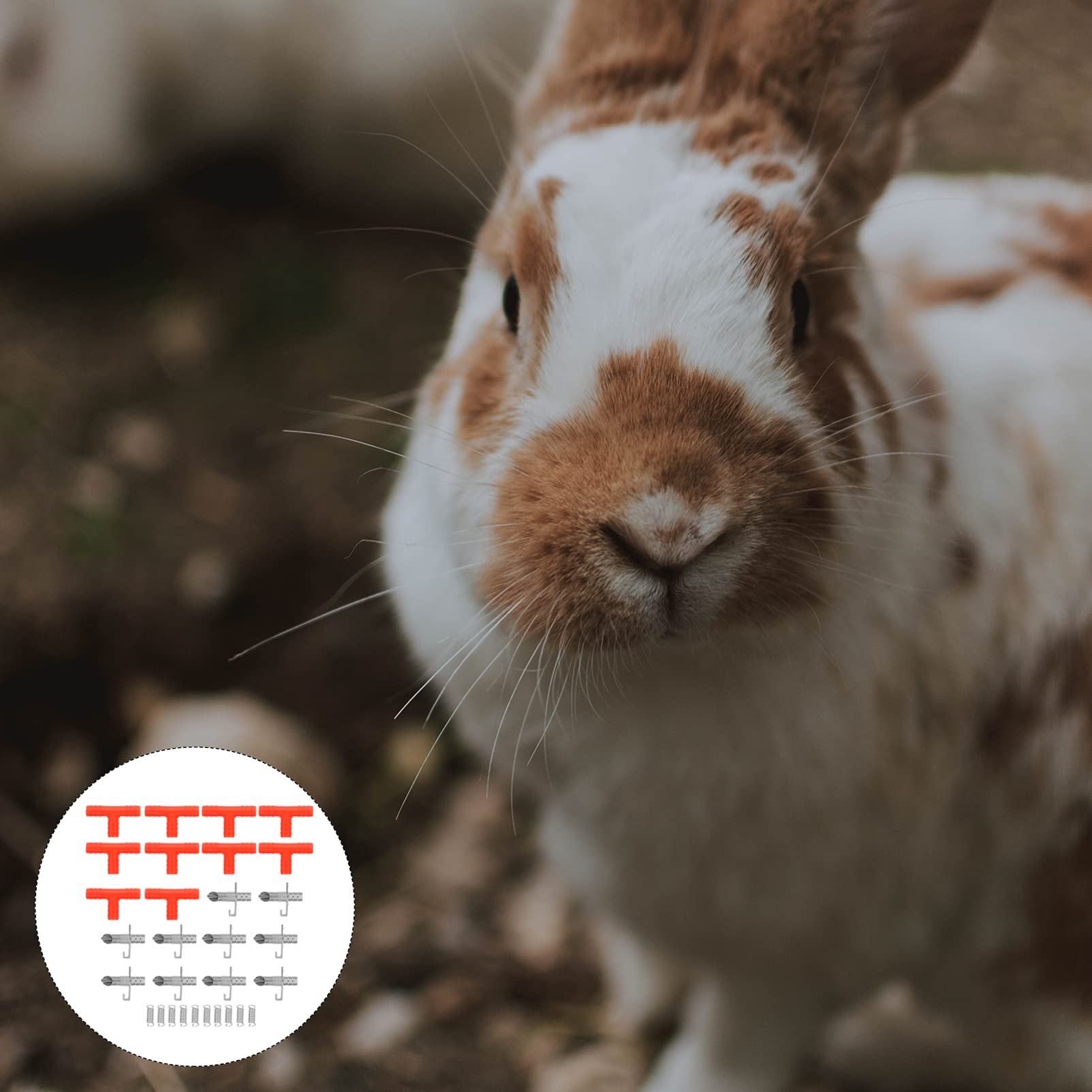 Alasum 10Sets Rabbit Automatic Waterer Feeder Leak Dispenser for Rabbits Durable Design Easy to Clean for Animal Hydration