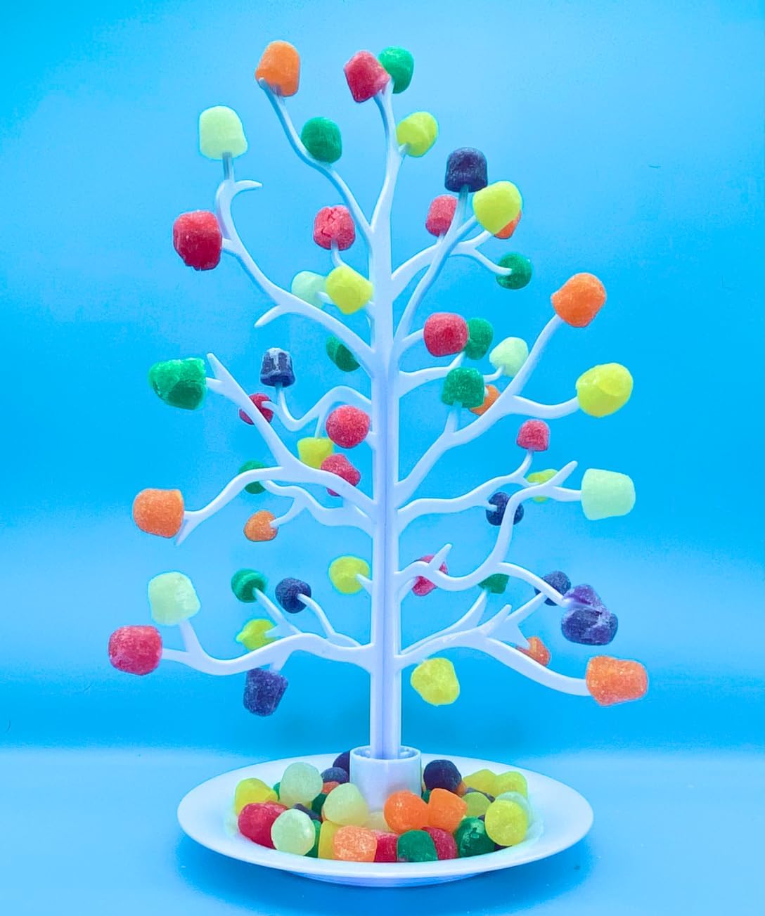 Hardcover Book, Gumdrop Tree + Keepsake Box Bundle