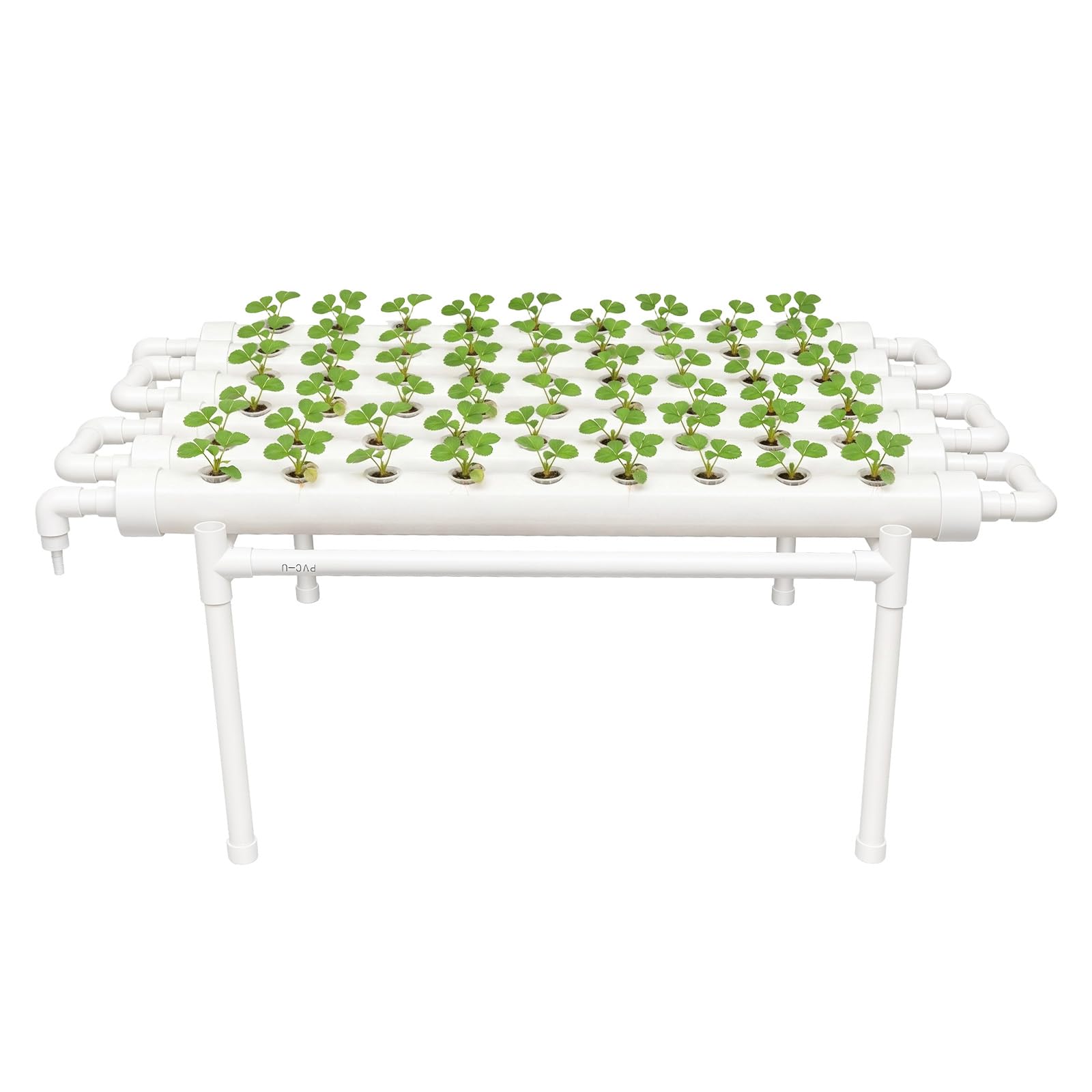 Hydroponic Grow Kit & Hydroponic System - Sistemas de cultivo de plantas sin tierra | Tubería hidropónica de PVC | Sistema de cultivo hidropónico para hortalizas hidropónicas (1 capa, 54 ubicaciones)