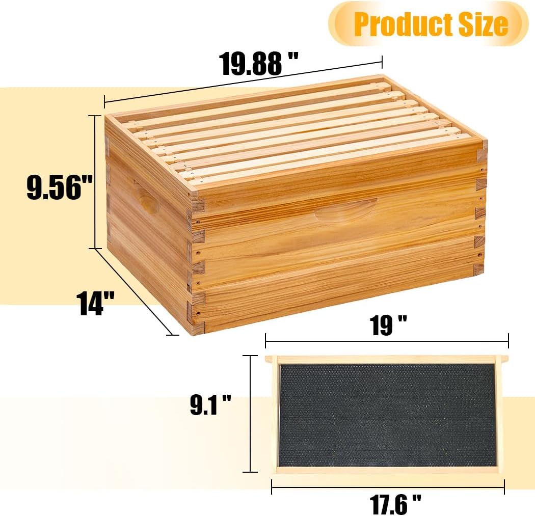 Honey Lake 8-Frame Beehive Complete Bee Hive Boxes Starter Kit Dipped in Beeswax Includes Beehive Frames and Waxed Foundations Sheets (1 Deep Brood Bee Box & 1 Medium Super Box) - Image 5