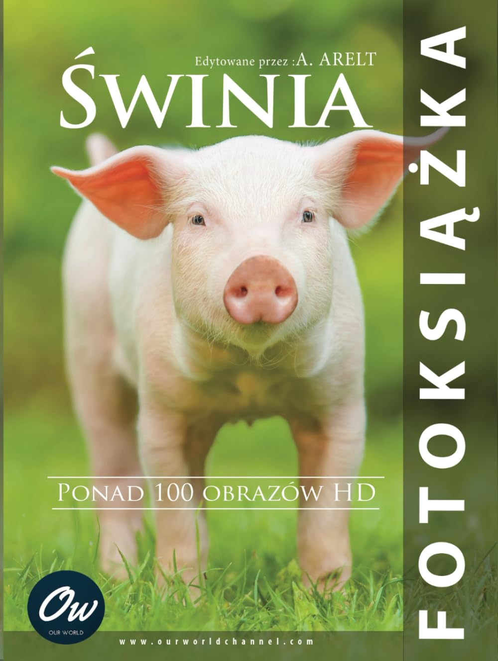 Livre photo Cochon et souvenirs d'enfance : un recueil de tendresse et de nature