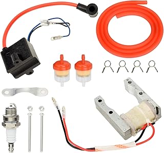 Motorized Bike CDI Ignition Magneto Coil Kit for 2 Stroke 49cc 50cc 66cc 80cc 100cc PK80 BT80 YD100 Engine Gas Motorized Bike Bicycle High Performance Parts