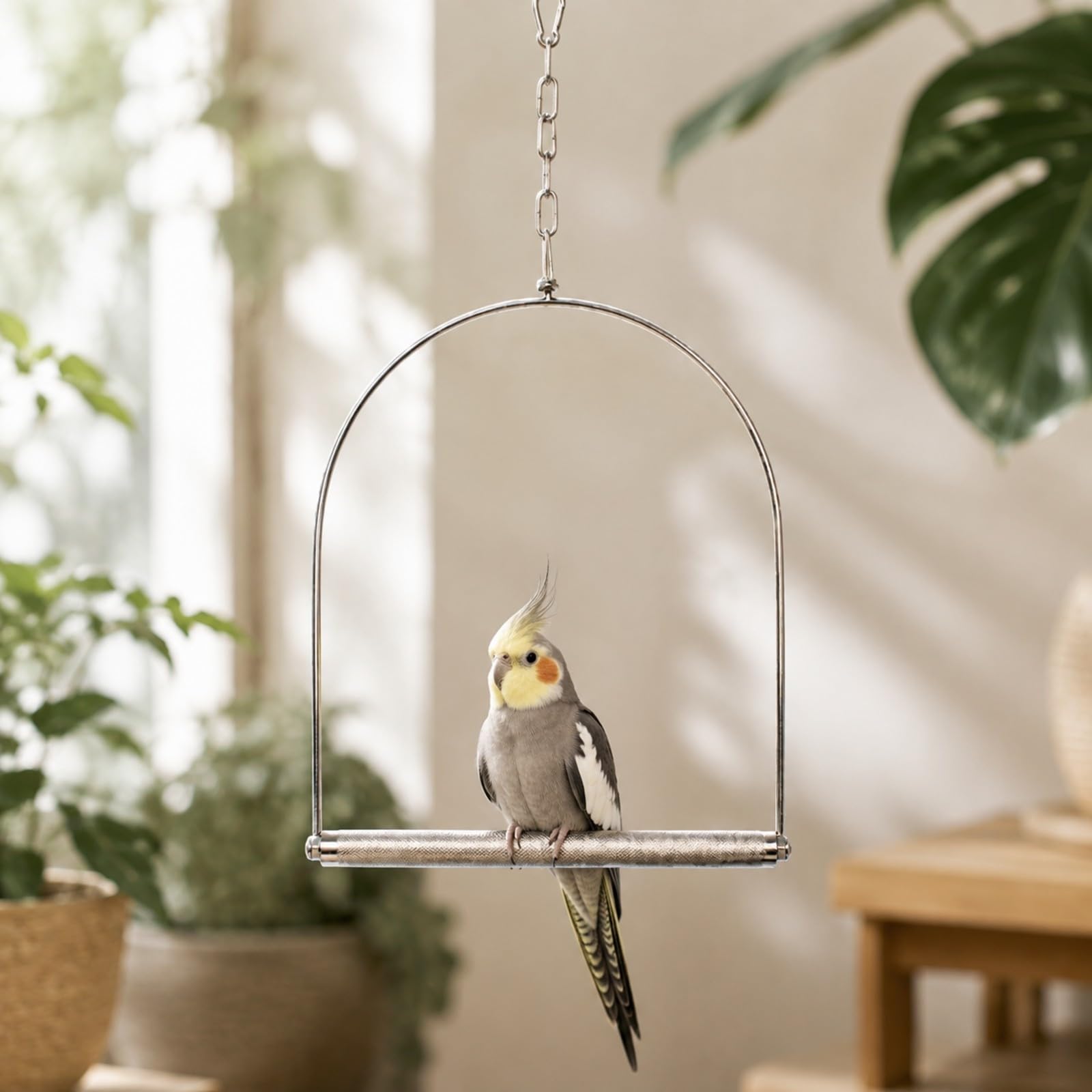 Colcolo Hängende Vogelschaukel aus Edelstahl Edelstahl-Vogelschaukel mit Kette Vogelspielzeug für Haustiervögel, Vogelkäfig, L