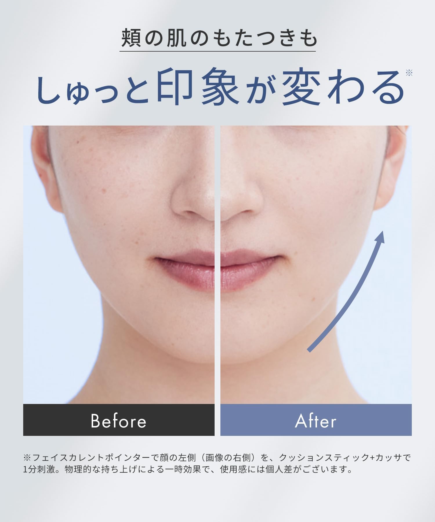 Amazon.co.jp: SALONIA SAL25320SL Face Calent Pointer, Lift Care