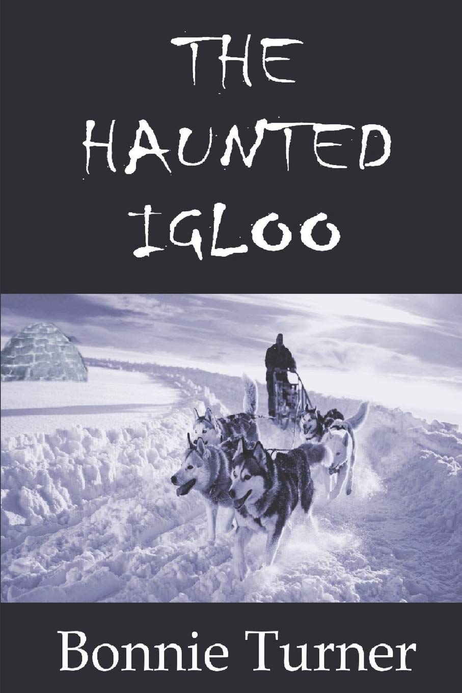 The Haunted Igloo (Arctic Series Book 1)