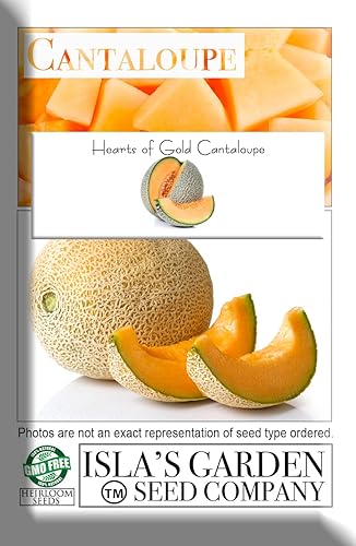 Miniatura 5 de Semillas de melón "Hearts of Gold" para plantar, más de 50 semillas de reliquia por paquete, semillas de jardín de Isla (semillas de jardín de