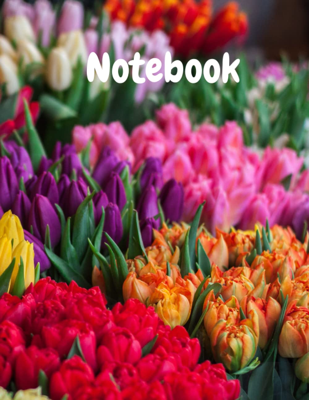 Notebook: 110 page ruled interior