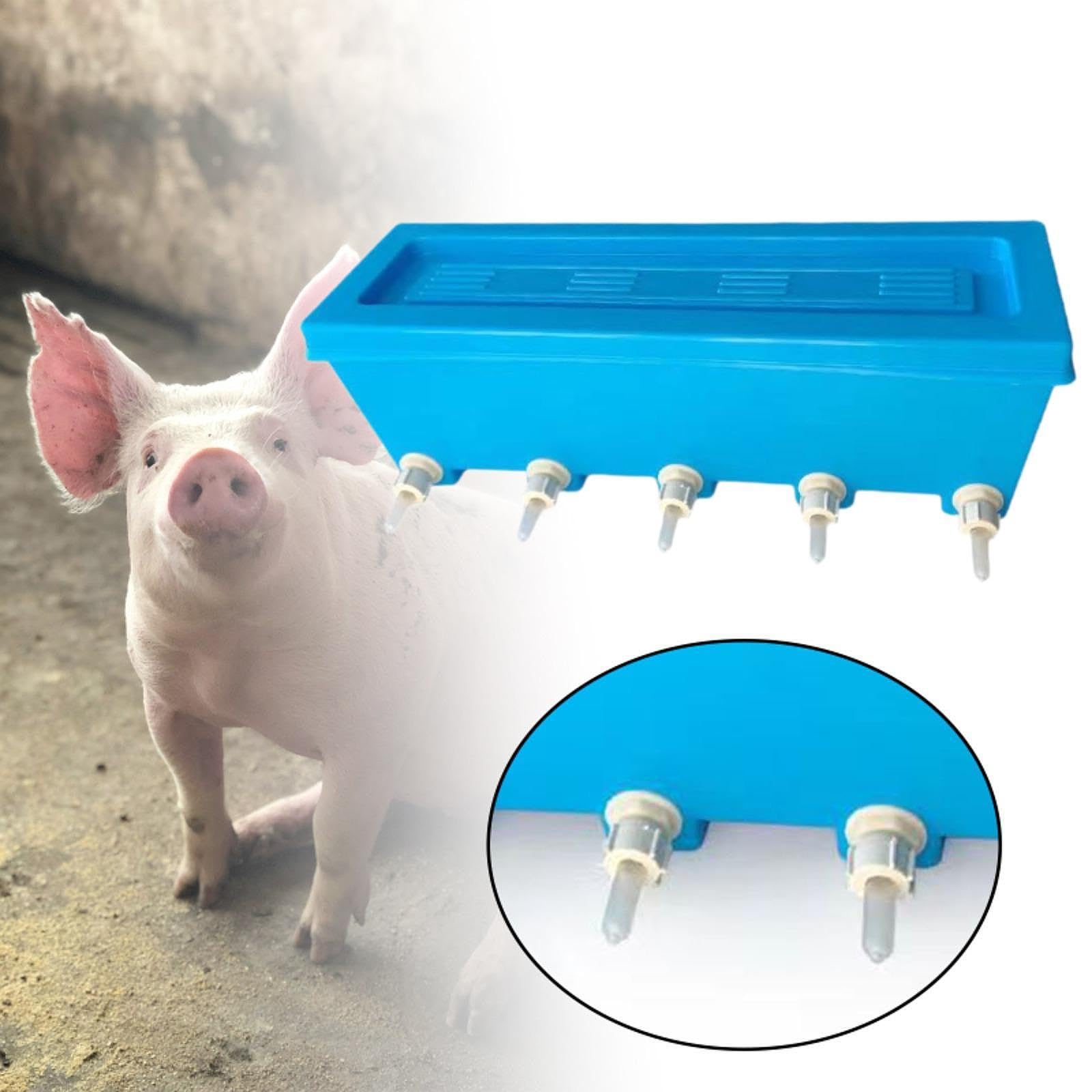 Botella de Leche para Corderos, Biberones para Animales Pequeños