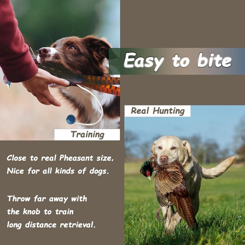 Fowecry 2 Pcs Pheasant Dummy Bumper Toy for... 12 Fowecry 2 Pcs Pheasant Dummy Bumper Toy for...