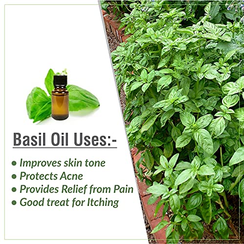 Image of B-URBAN Basil (Ocimum Basilicum) Oil | 100% Pure & Natural Undiluted Essential Oil For Skincare & Hair Care - 30ML