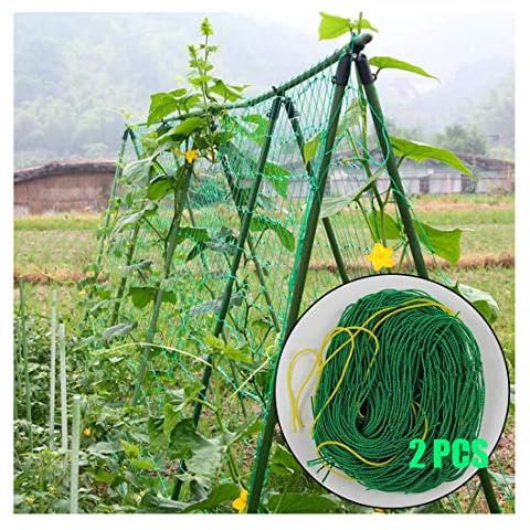 Bestjing Garden Plants Climbing Trellis Netting Plant Support Vine Net Grow Net Holder Garden Netting Protect Anti Bird Netting,Climbing Garden Trellis Net for Fruits Vegetables Plants etc  (6×6 ft) Cover