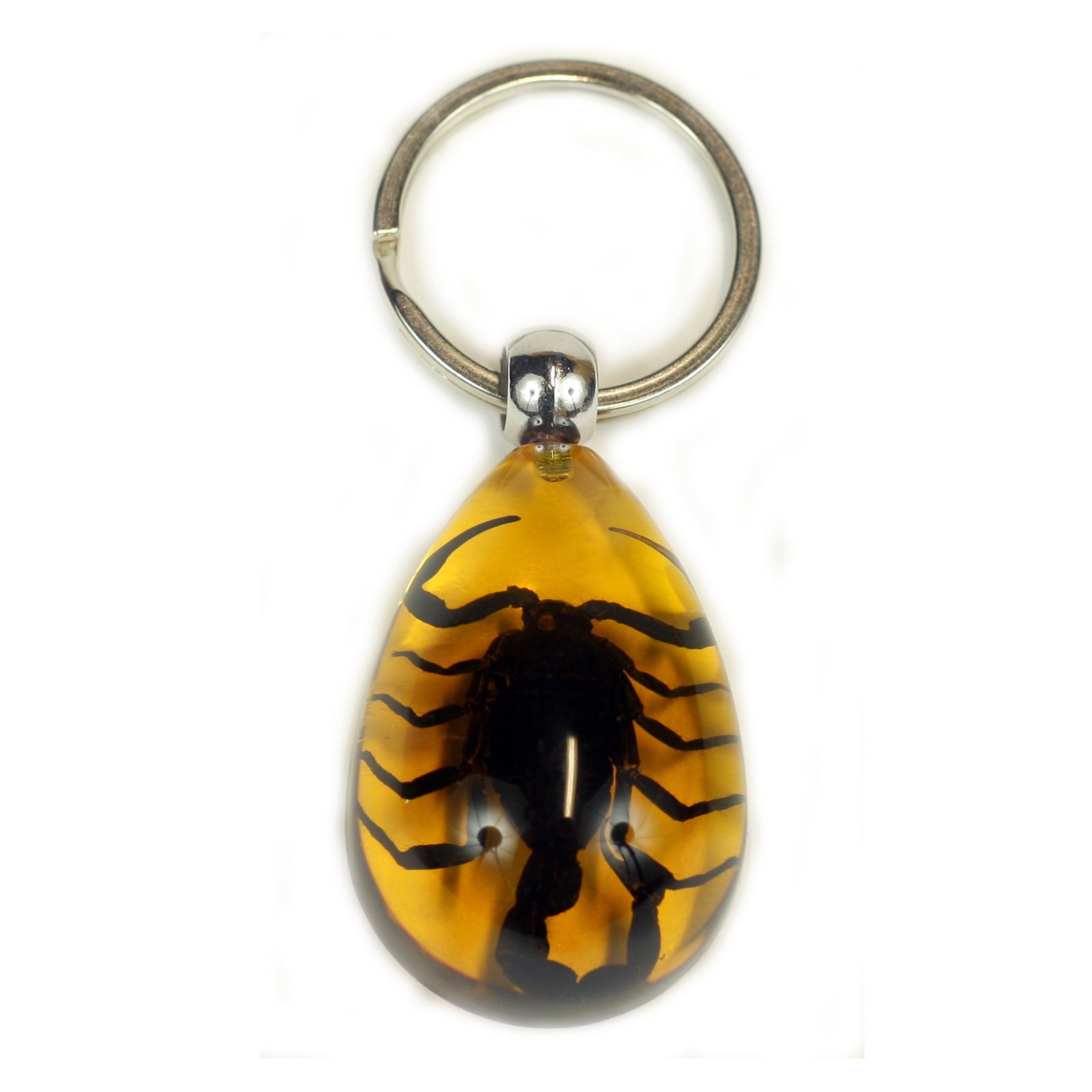 REALBUG Black Scorpion Key Chain Tear Drop Amber