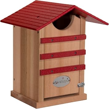 JCS Wildlife Screech Owl House Cedar Nesting Box with Poly Lumber Roof, Saw-Whet Owl Box for Outside, Drainage Ventilation, Easy Cleanout, Made in USA, Cardinal Red